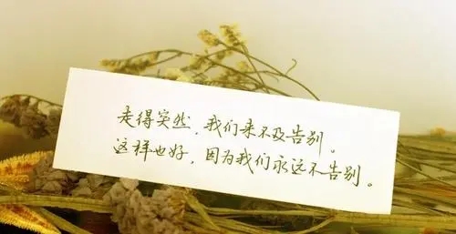 愿自己没心没肺的说说文案