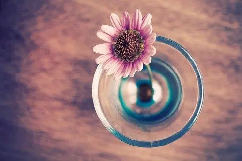 简单安静优雅的句子文案