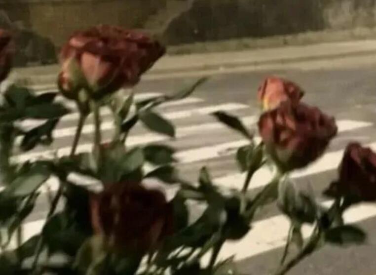 表达很累很疲惫的句子文案