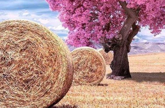 对人生感悟的经典短句