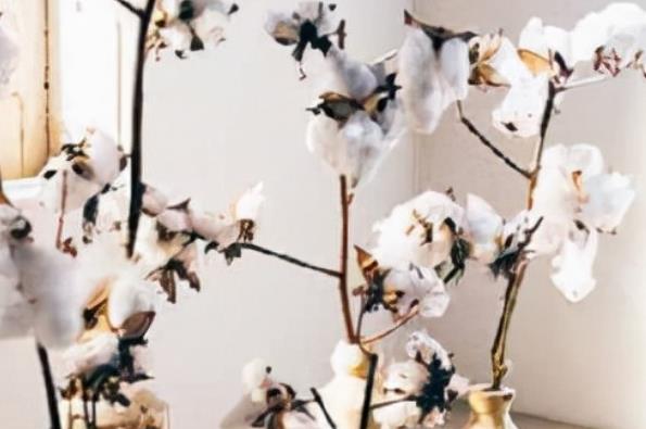 适合校园的文案