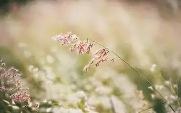 赞美抖音的句子文案