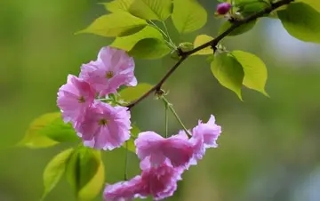 2024励志短句学生