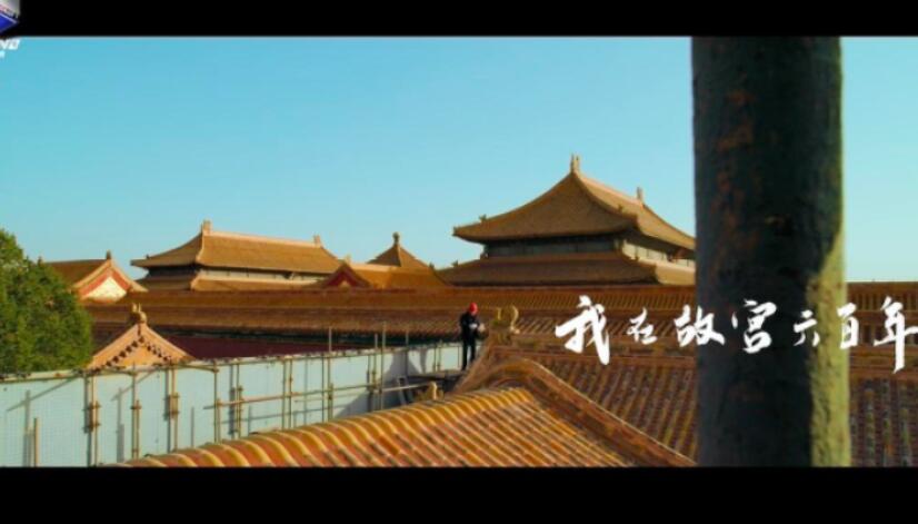 关于评论纪录片的名言