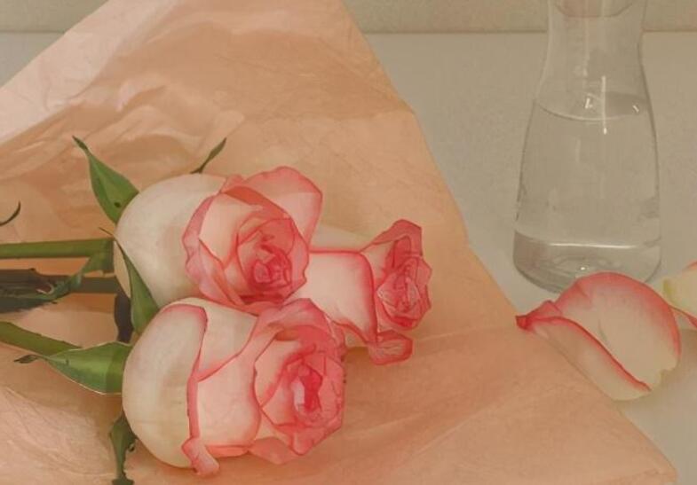 祝福长辈的话唯美句子文案