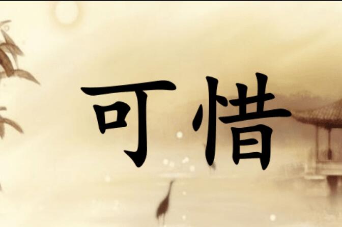 可惜写一句话三年级