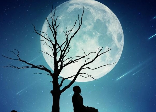 形容一个人孤独的句子文案