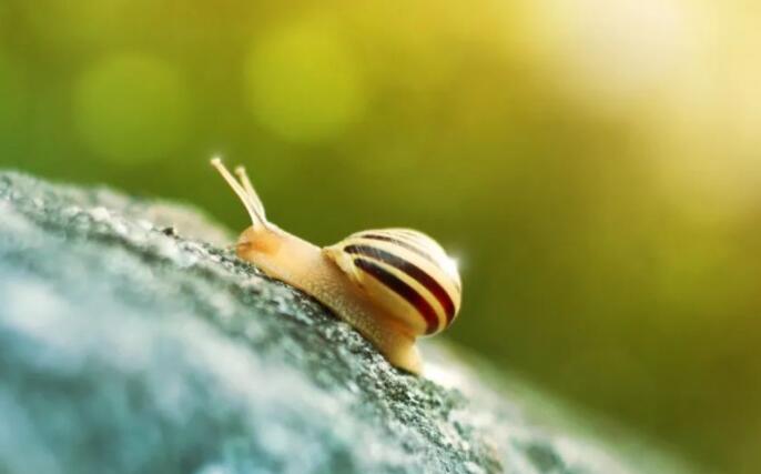 好句文案20字左右优美100句