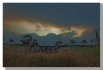 描写早晨的云的优美句子文案