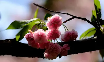 送给完美主义者的句子文案