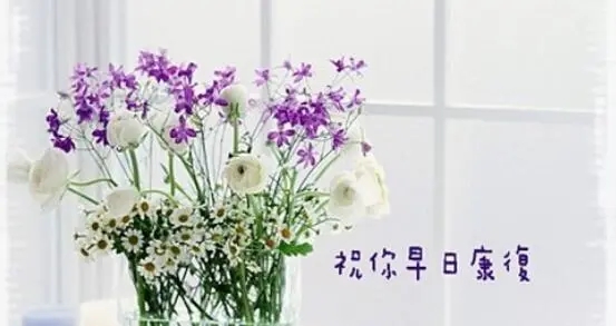 早日康复祝福语简短