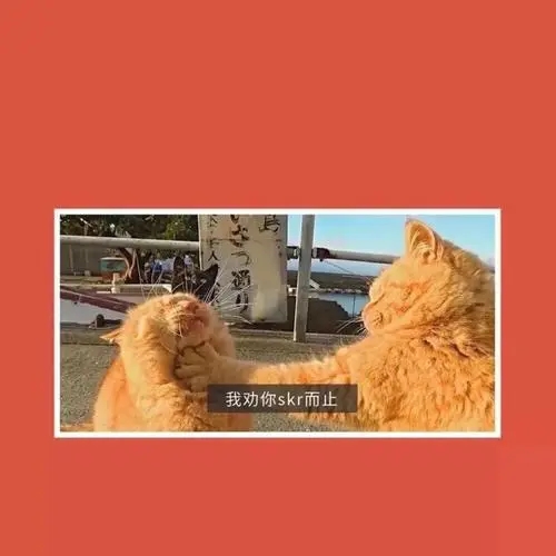 跟闺蜜出去玩的沙雕文案