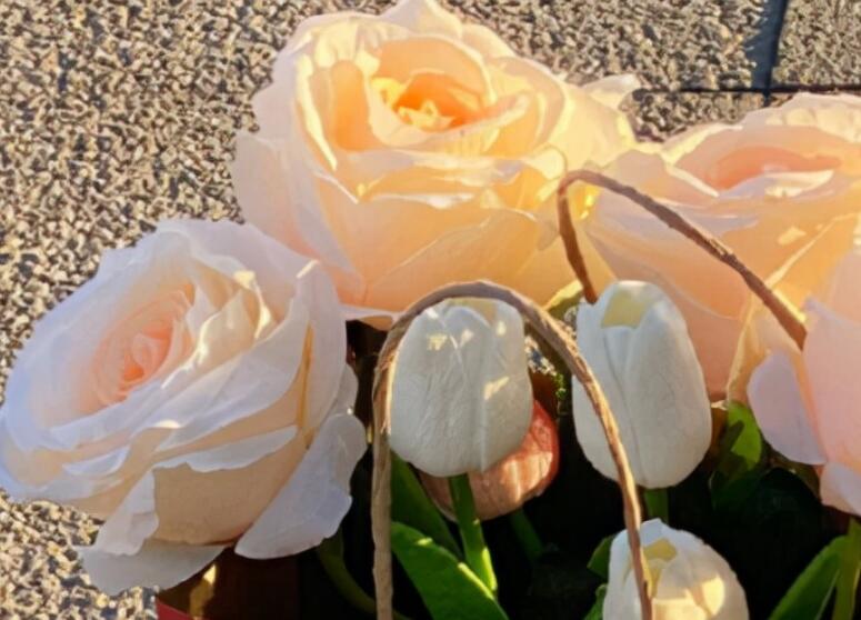 岁月流逝的唯美句子文案