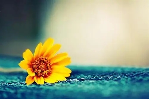 很有意境的唯美句子文案