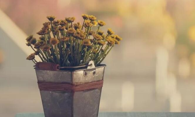 人生幸福的句子文案