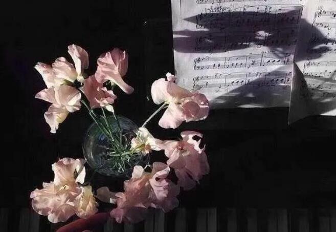 豪放的八字短句