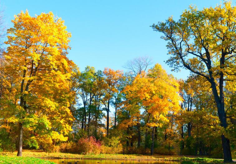 细节描写的句子文案
