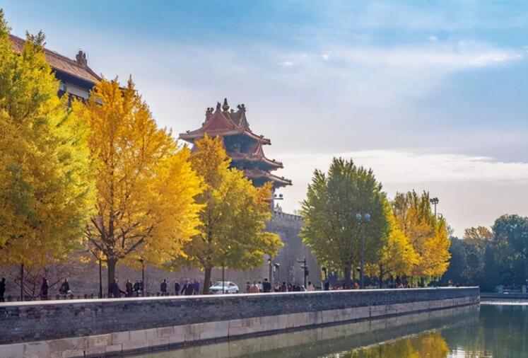 早上发正能量的朋友圈的句子文案