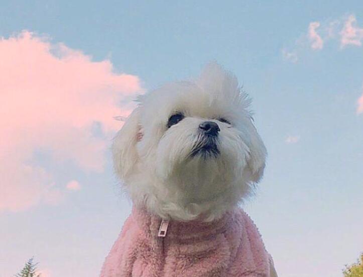 微句正能量的句子文案