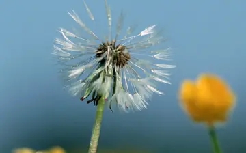 送给完美主义者的句子文案