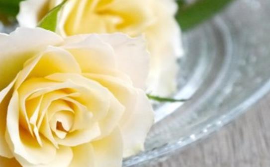 心情不好想家的句子文案伤感