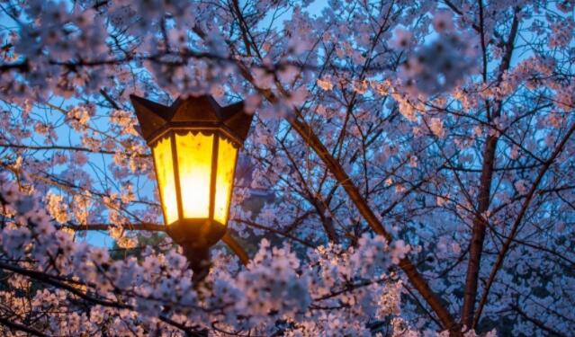 关于夜的诗句文案