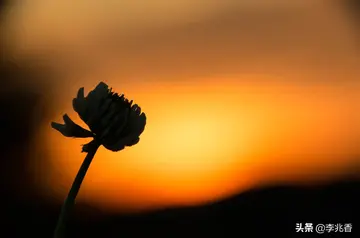 感觉自己抑郁怎么发朋友圈