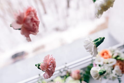 女人喝红酒经典语录文案