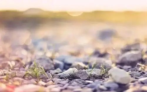 人生最重要的四句话