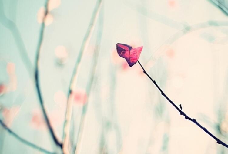 超级经典励志个性签名