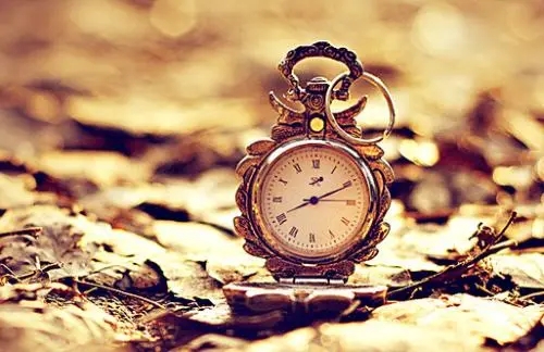 今日成长的句子文案