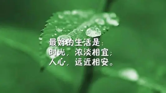 微信激励的短句