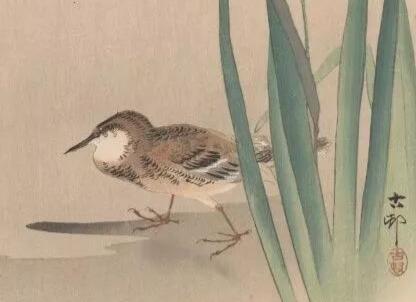 50首古诗词简单