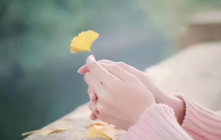 女人被伤后励志的句子文案