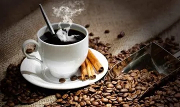 慢下来享受生活的名言