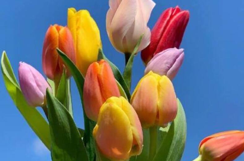 有深度的早安金句