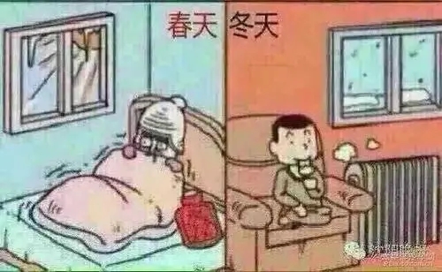 冻死在春天的搞笑句子文案