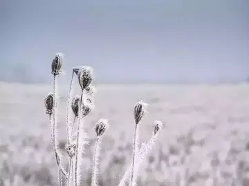 似水流年的诗句文案有哪些
