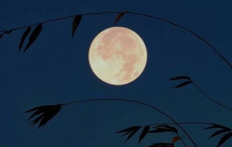 烧香拜佛祈福的诗句文案