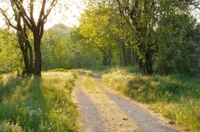 心累励志的句子文案说说心情