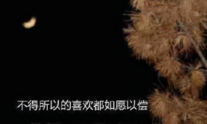 形容社会现实人心太假的句子文案