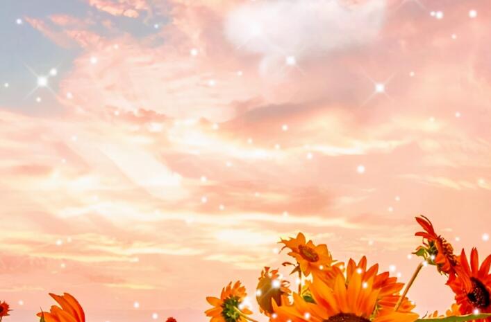 正能量精简短句