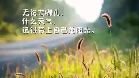 乐观励志心灵鸡汤文章