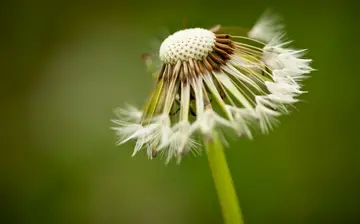 世界太现实的句子文案