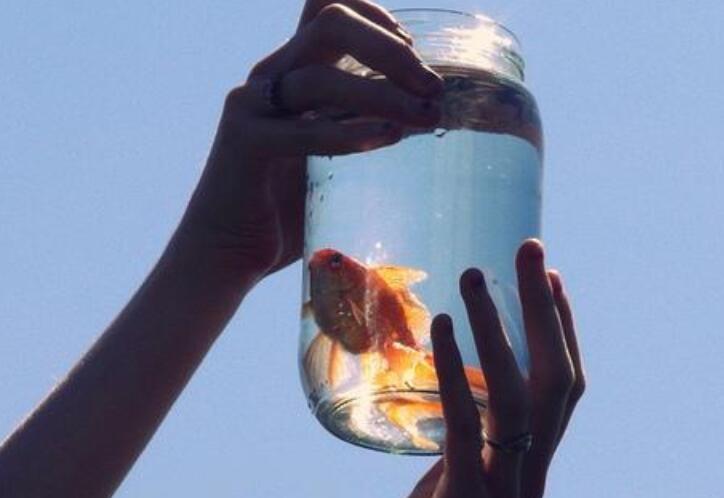 十篇英语作文5句话带翻译