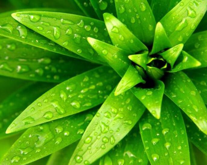 100个含有修辞手法的句子文案