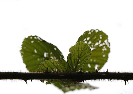 手受伤了发朋友圈必赞说说文案
