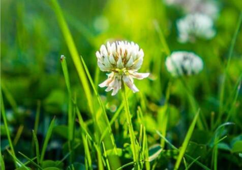 2024早安心语正能量