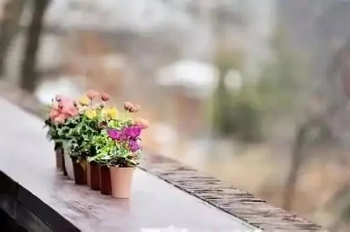 心灵富足的句子文案