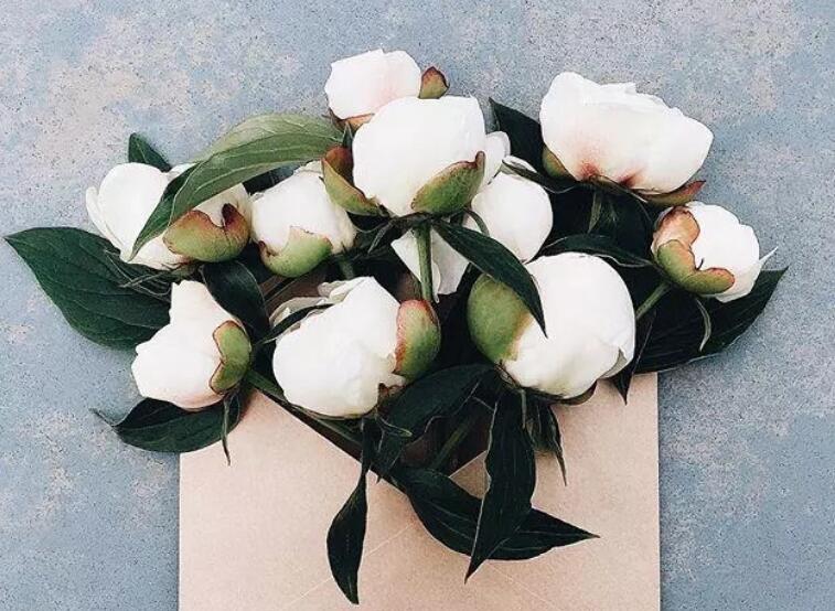 送给女朋友一段感动到哭的话